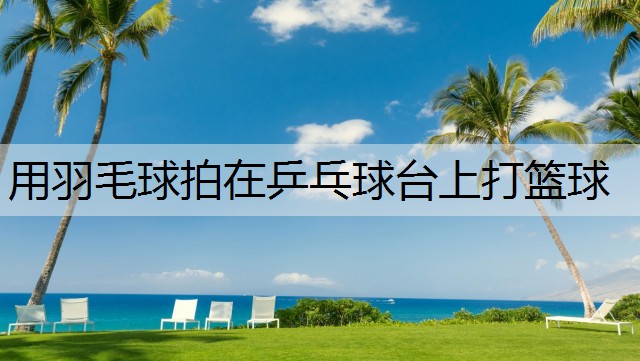 用羽毛球拍在乒乓球台上打篮球