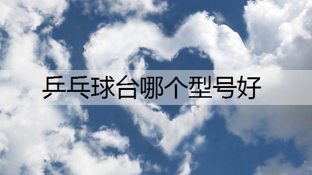 乒乓球台哪个型号好