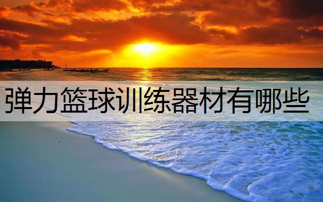 弹力篮球训练器材有哪些