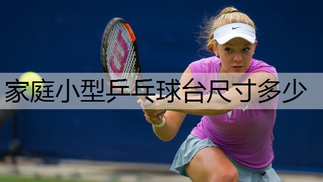 家庭小型乒乓球台尺寸多少