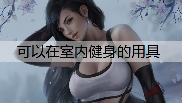 可以在室内健身的用具