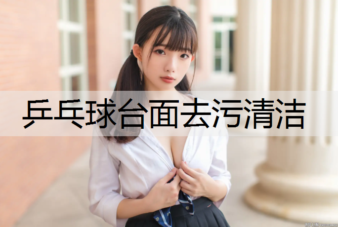 乒乓球台面去污清洁
