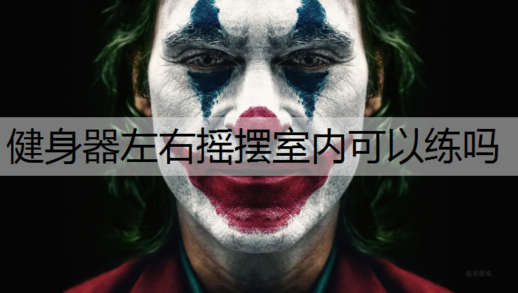 健身器左右摇摆室内可以练吗