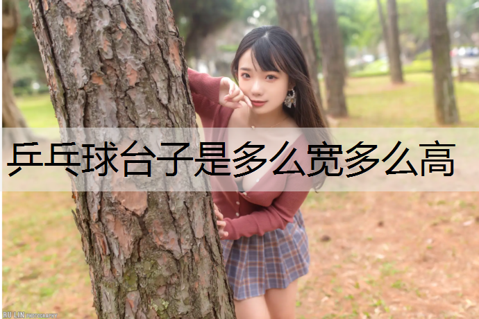 乒乓球台子是多么宽多么高