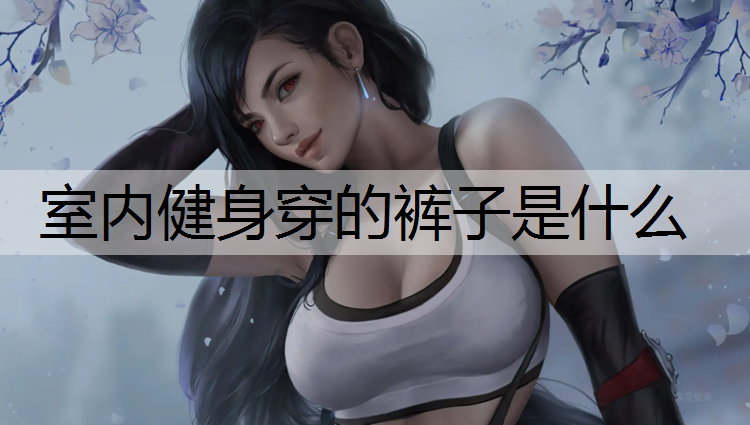 室内健身穿的裤子是什么