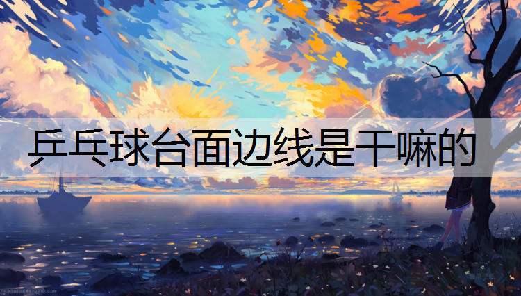 乒乓球台面边线是干嘛的