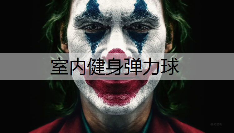室内健身弹力球