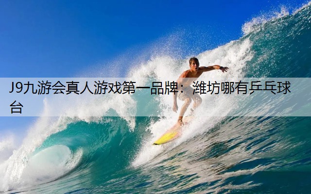 潍坊哪有乒乓球台