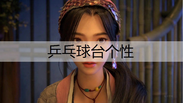 乒乓球台个性