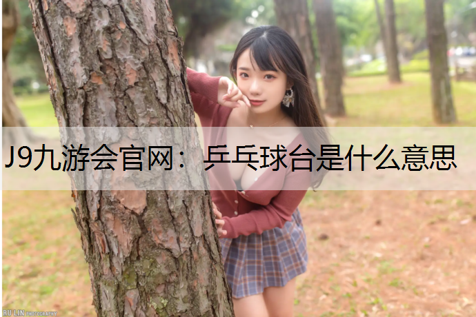 乒乓球台是什么意思