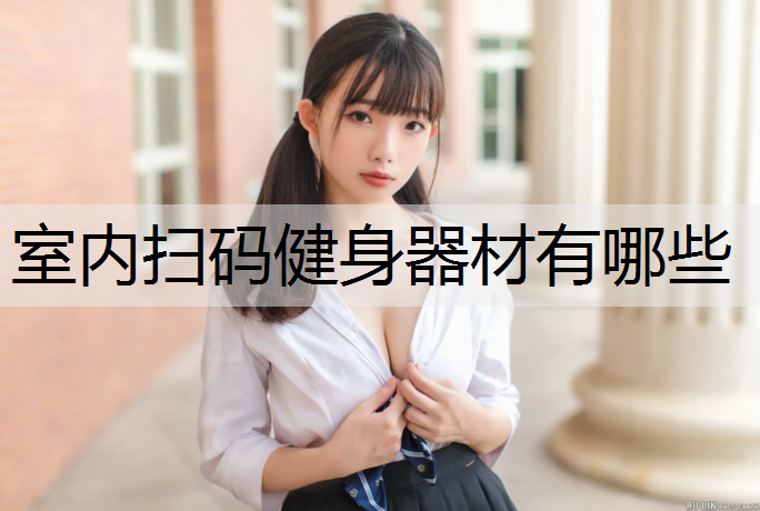 室内扫码健身器材有哪些