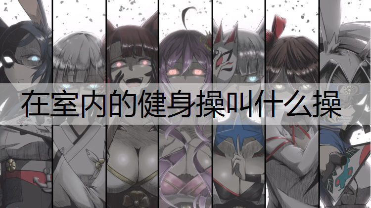 在室内的健身操叫什么操