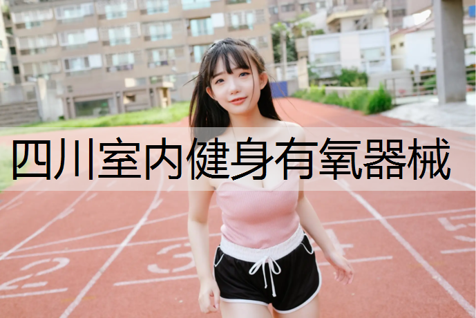 四川室内健身有氧器械